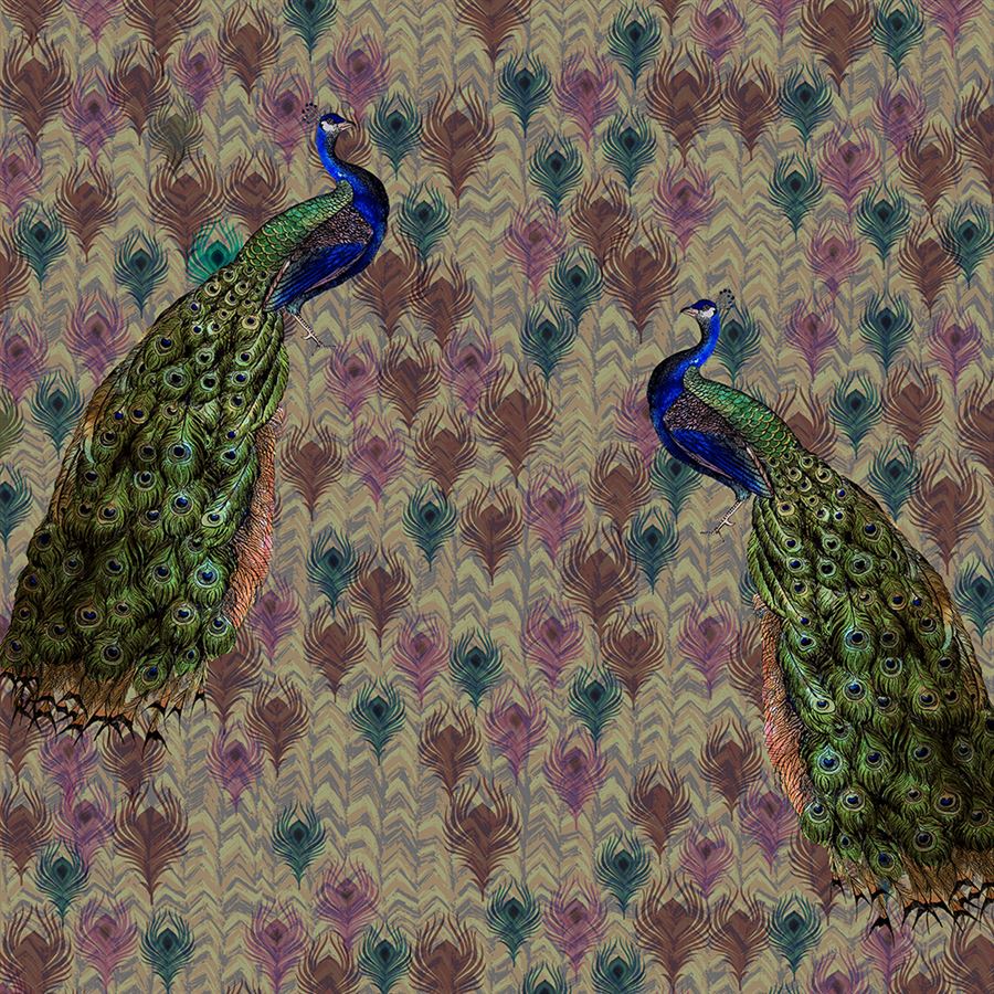 tapestry of the peacock (km 1007)