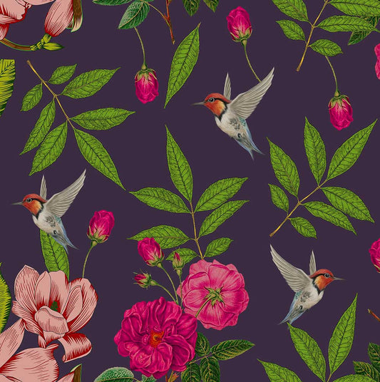 Plum Hummingbird (KM 4018)