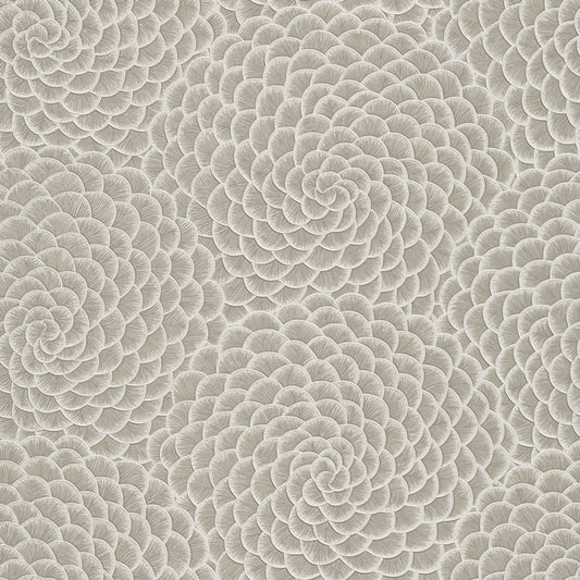 Sale(KS 3111)