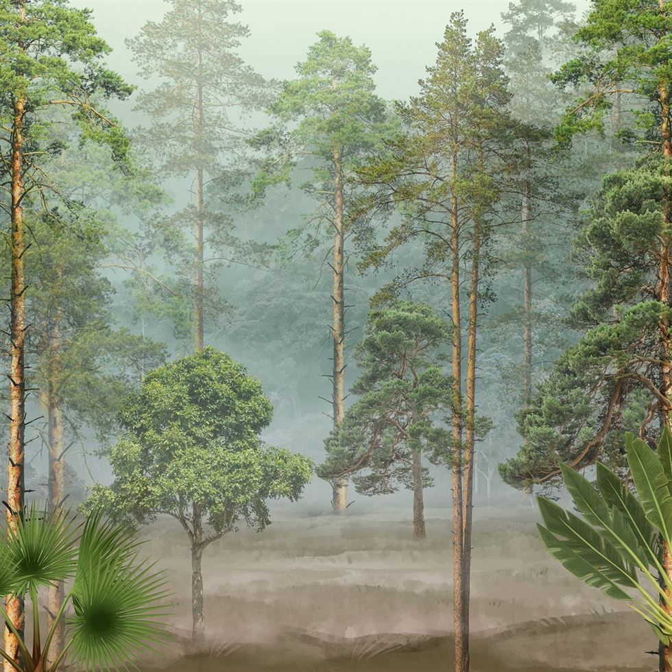 pine forest (lds 111)
