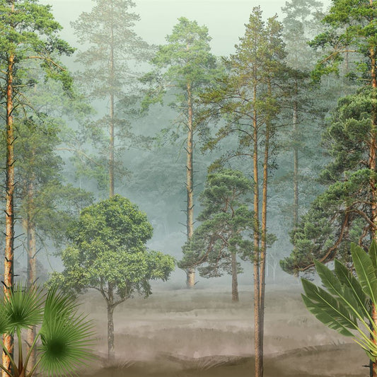 Pine Forest (LDS 111)