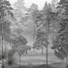 Pine Forest (LDS 112)