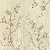 Branching Beauty (LDS 113)