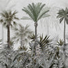 Palm Haven (LDS 122)