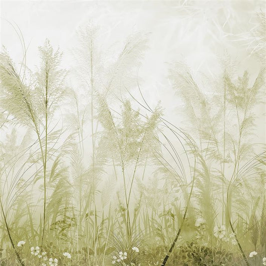 Grassy Glade (LDS 125)