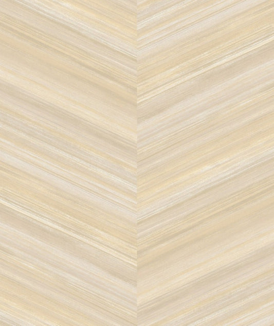 Discount Sale(MA 3002)