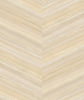 Discount Sale(MA 3002)