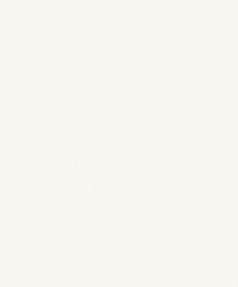 white roughcast texture (mn 1101)