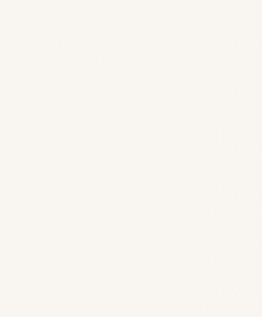 White Roughcast Texture (MN 1101)