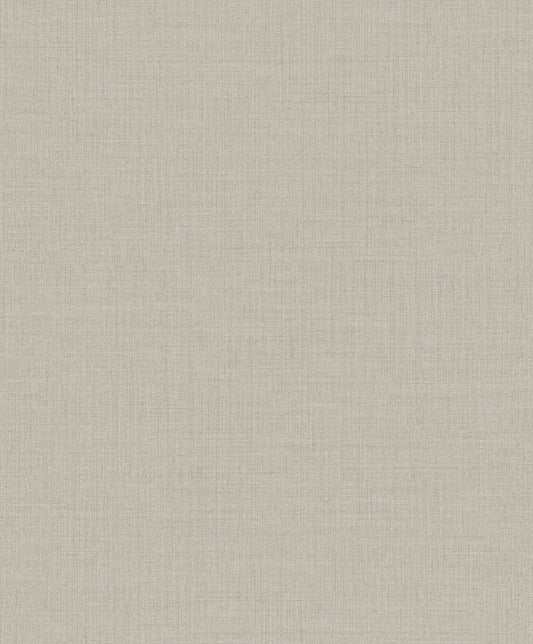 Light Taupe Linen Texture (MN 1004)