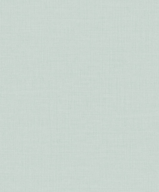 Pale Gray Linen Texture (MN 1011)