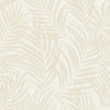 Dark Gray Concrete Texture (MN 2001)