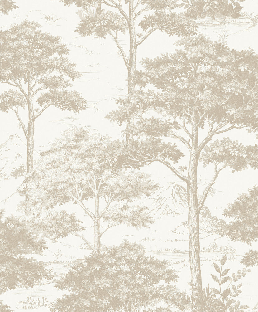 warm grey plaster texture (mn 3003)