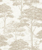 Warm Grey Plaster Texture (MN 3003)