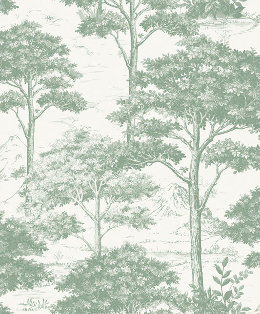 Soft Blue Plaster Texture (MN 3009)
