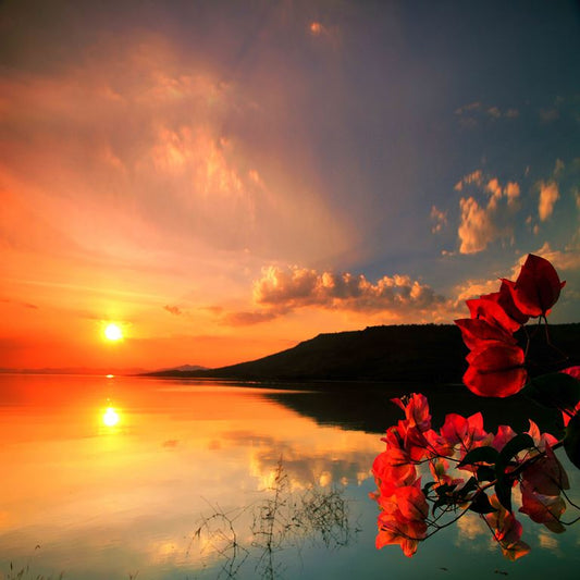 Sunset Reflection ( NAT 102 )