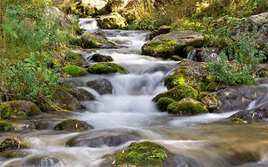 mossy mountain stream ( nat 1021 )