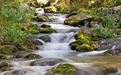 Mossy Mountain Stream ( NAT 1021 )