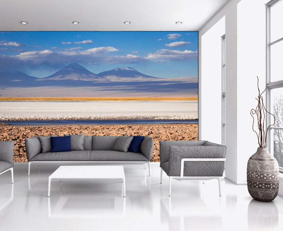 andean salt flats ( nat 106 )