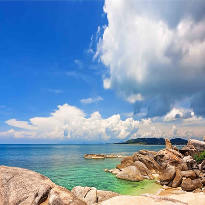 Tropical Shore ( NAT 107 )