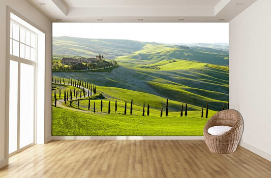 Tuscan Rolling Hills ( NAT 111 )