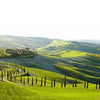Tuscan Rolling Hills ( NAT 111 )