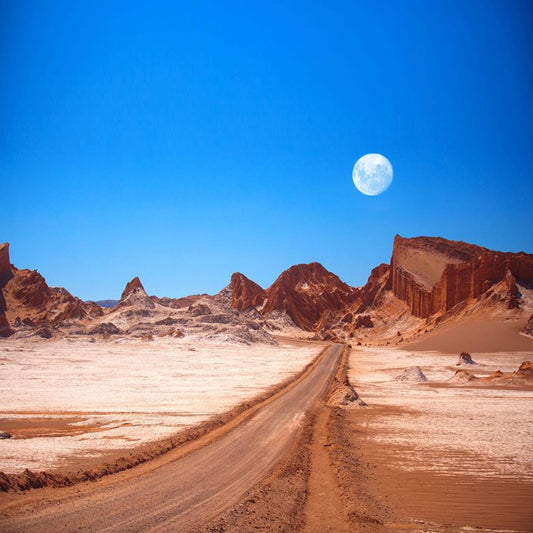Lunar Desert Path ( NAT 113 )