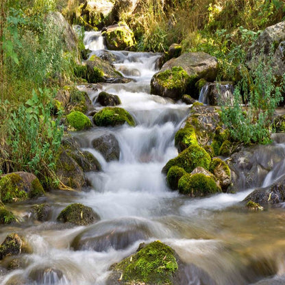 Cascading Serenity ( NAT 116 )