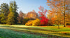 Morning Glow Park ( NAT 120 )
