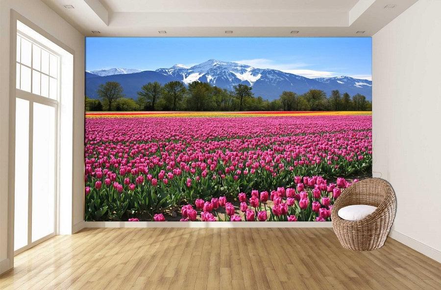 tulips & peaks ( nat 121 )