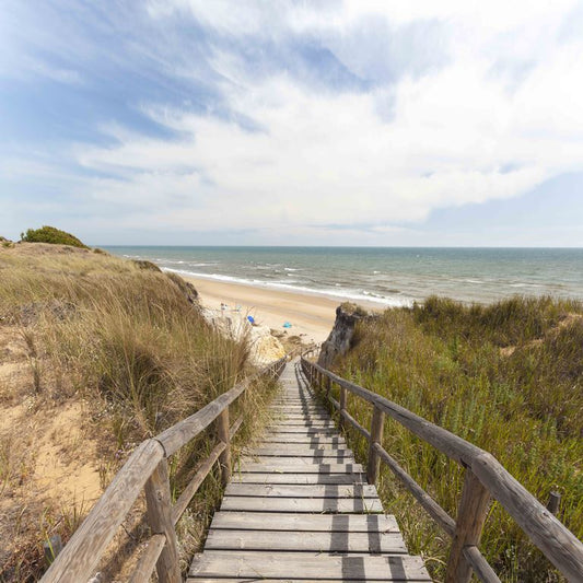 Path to the Sea ( NAT 125 )