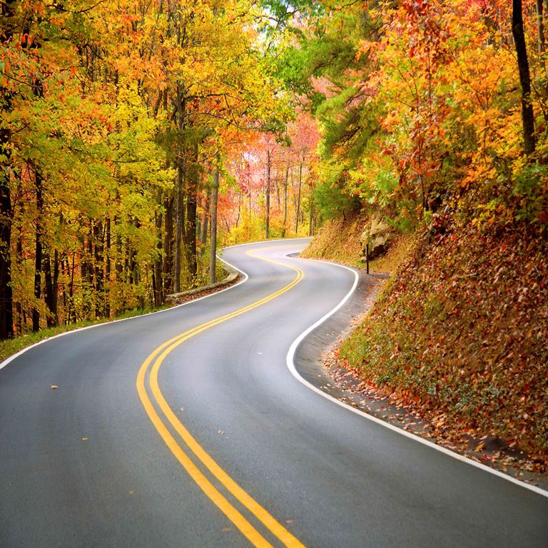 winding autumn way ( nat 127 )