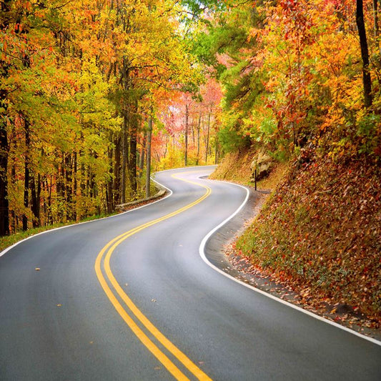 Winding Autumn Way ( NAT 127 )
