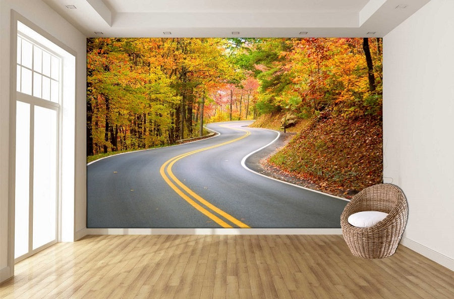 winding autumn way ( nat 127 )