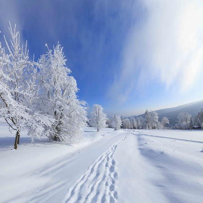 Frosty Winter Trail ( NAT 128 )