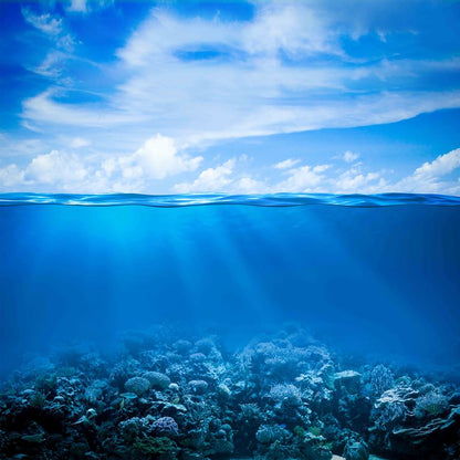 Ocean Horizon ( NAT 134 )