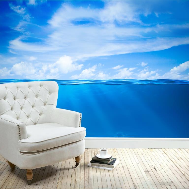 ocean horizon ( nat 134 )