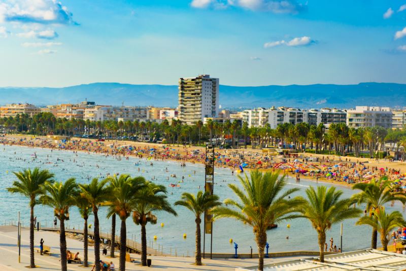 mediterranean summer ( nat 142 )