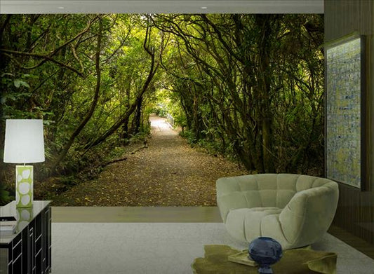 Enchanted Forest Path ( NAT 158 )