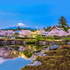 Mount Fuji Blossoms ( NAT 159 )
