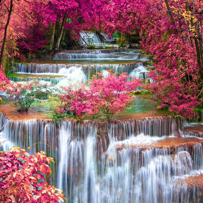 Magenta Cascades ( NAT 160 )