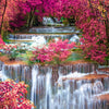 Magenta Cascades ( NAT 160 )