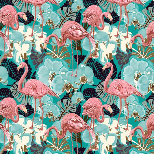 Flamingo Tropicalia ( NAT 164 )