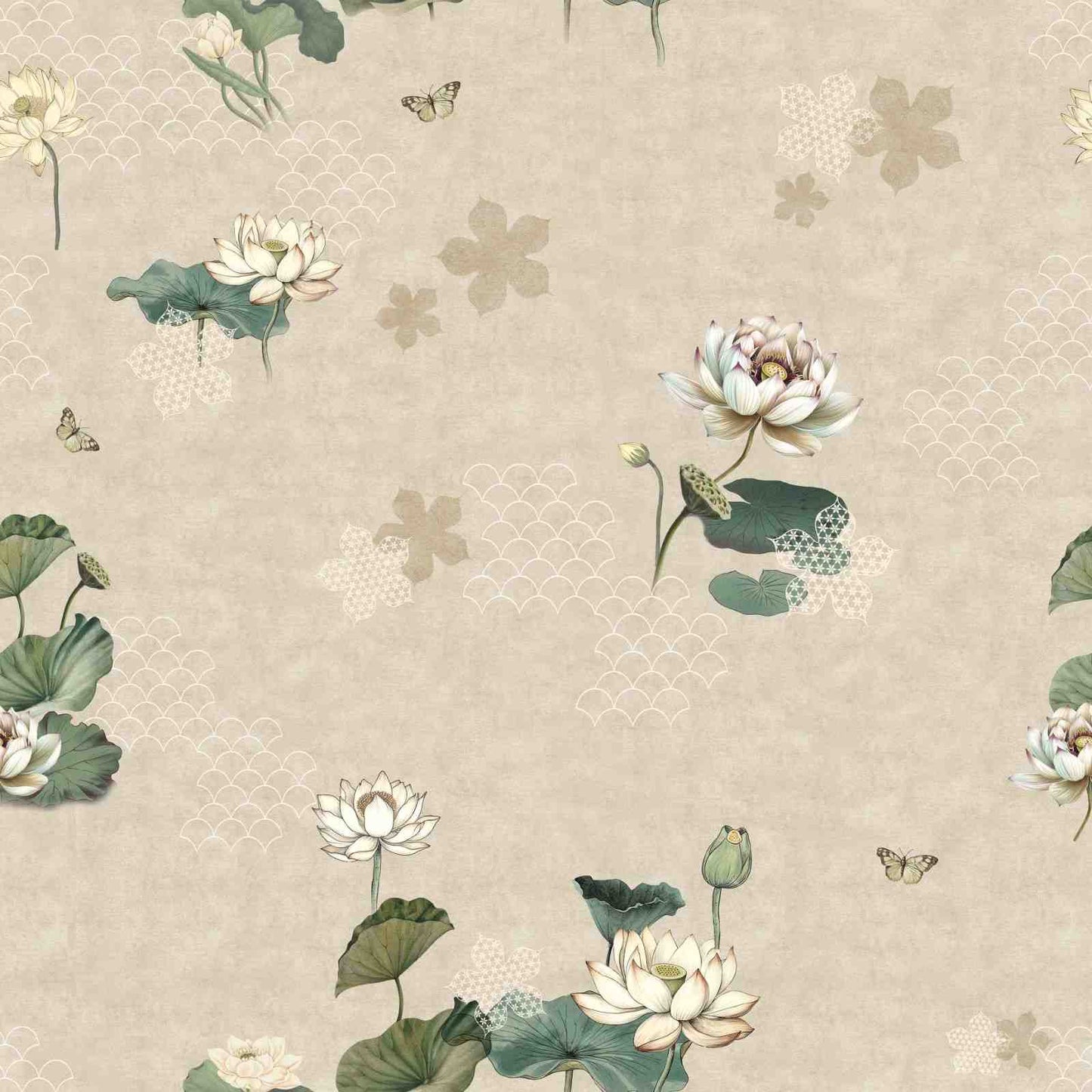 ivory serenity (nrv 508)
