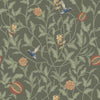 Flights of Vivers Tropics (NRV 511)
