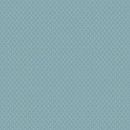 Love of Lattice Ocean (NRV 538)