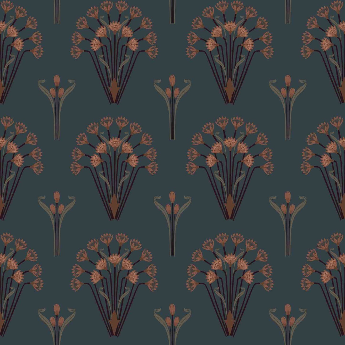 dichasial charm pacific (nrv 642)