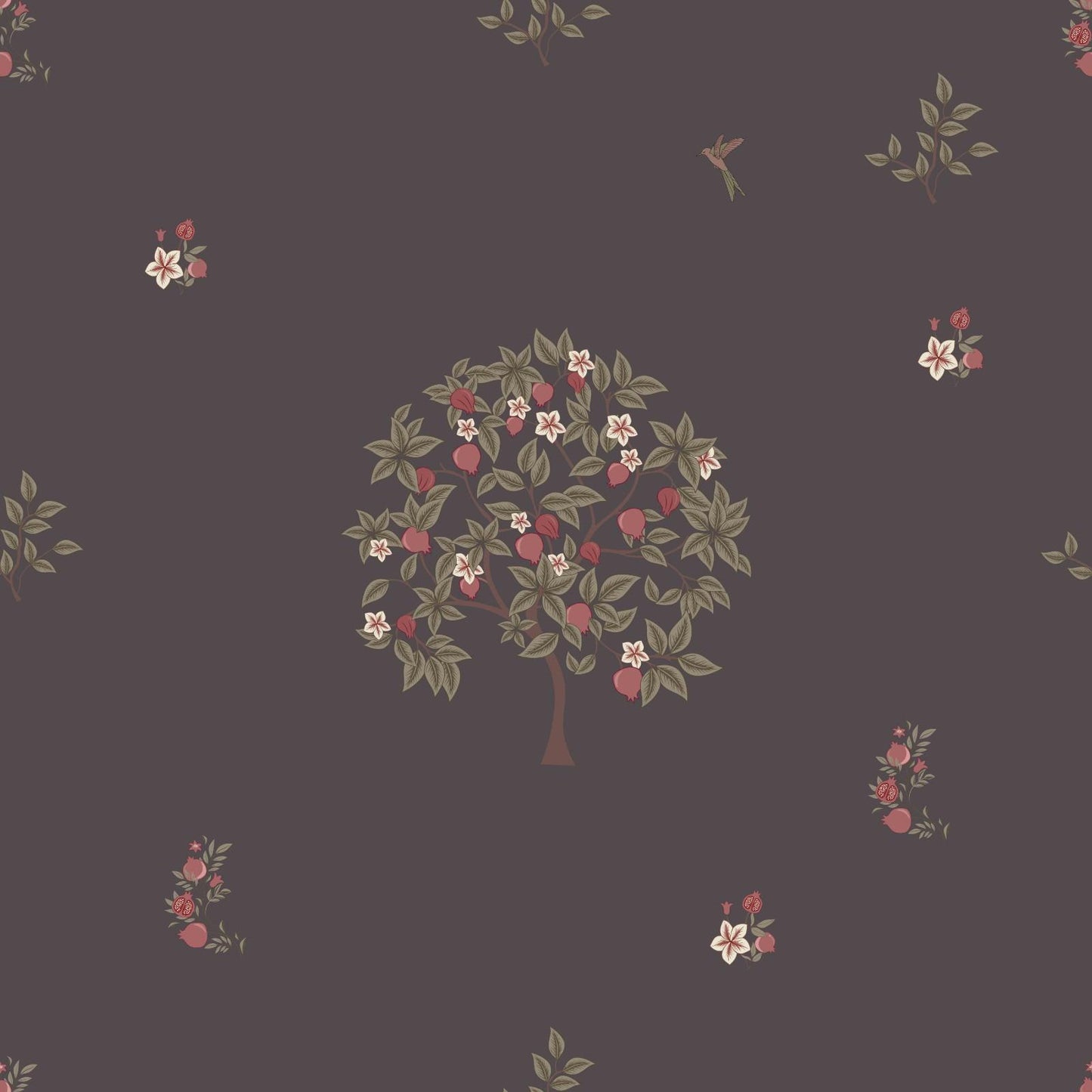 gray pome prinia wallpaper (nrv 650)