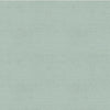 Dusky Blue Canvas (OG 118)