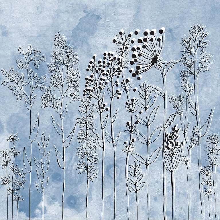 blue wildflower sketch ( ori 102 )